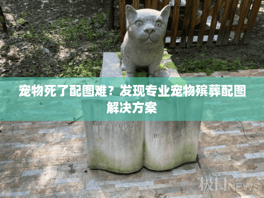 宠物死了配图难？发现专业宠物殡葬配图解决方案