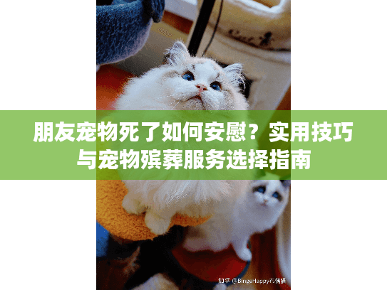 朋友宠物死了如何安慰?实用技巧与宠物殡葬服务选择指南 朋友宠物死了如何安慰?实用技巧与宠物殡葬服务选择指南