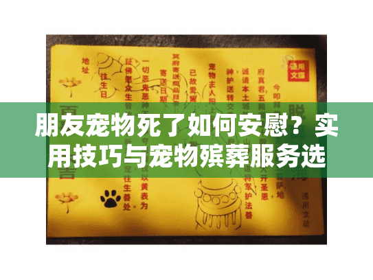 朋友宠物死了如何安慰?实用技巧与宠物殡葬服务选择指南 朋友宠物死了如何安慰?实用技巧与宠物殡葬服务选择指南