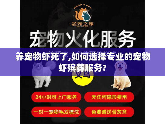养宠物虾死了,如何选择专业的宠物虾殡葬服务? 养宠物虾死了,如何选择专业的宠物虾殡葬服务?