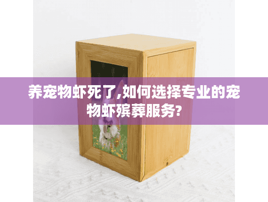 养宠物虾死了,如何选择专业的宠物虾殡葬服务? 养宠物虾死了,如何选择专业的宠物虾殡葬服务?