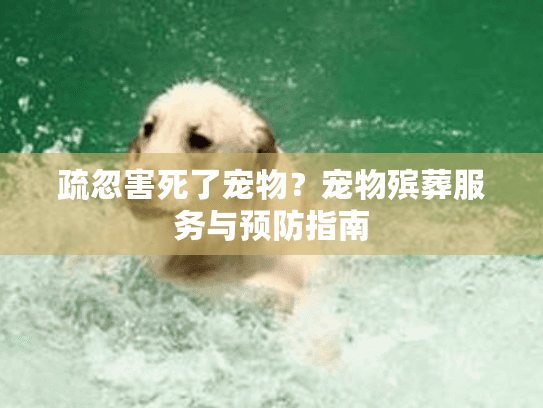 疏忽害死了宠物？宠物殡葬服务与预防指南