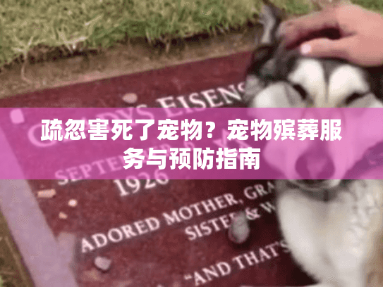 疏忽害死了宠物？宠物殡葬服务与预防指南