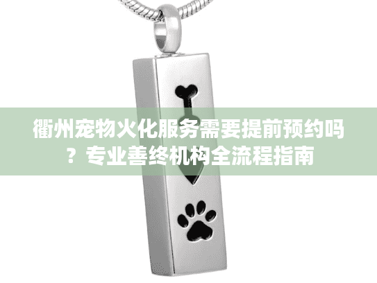 衢州宠物火化服务需要提前预约吗？专业善终机构全流程指南