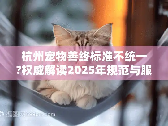 杭州宠物善终标准不统一?权威解读2025年规范与服务选择指南