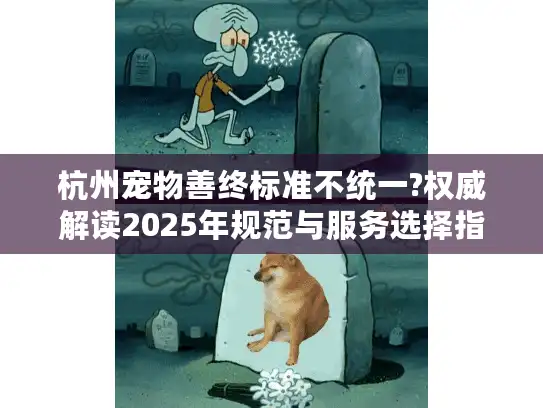 杭州宠物善终标准不统一?权威解读2025年规范与服务选择指南