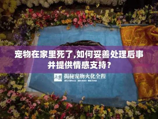 宠物在家里死了,如何妥善处理后事并提供情感支持? 宠物在家里死了,如何妥善处理后事并提供情感支持?