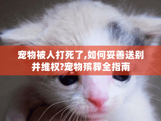 宠物被人打死了,如何妥善送别并维权?宠物殡葬全指南