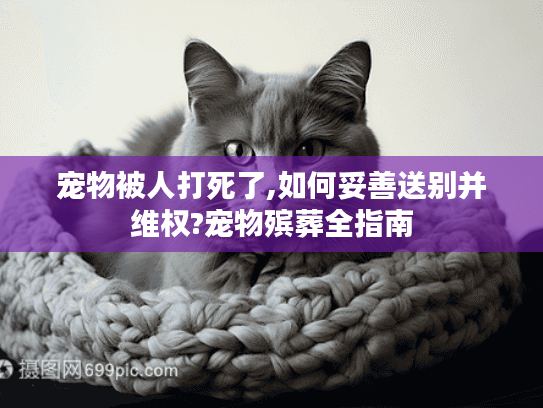 宠物被人打死了,如何妥善送别并维权?宠物殡葬全指南