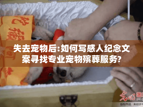 失去宠物后:如何写感人纪念文案寻找专业宠物殡葬服务?