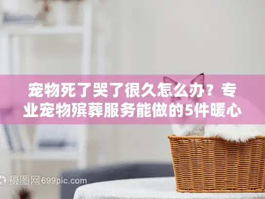 宠物死了哭了很久怎么办？专业宠物殡葬服务能做的5件暖心小事