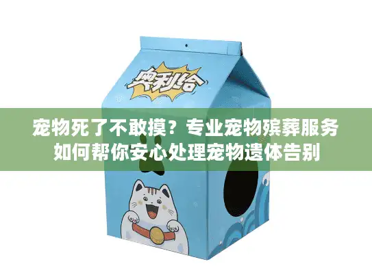 宠物死了不敢摸？专业宠物殡葬服务如何帮你安心处理宠物遗体告别