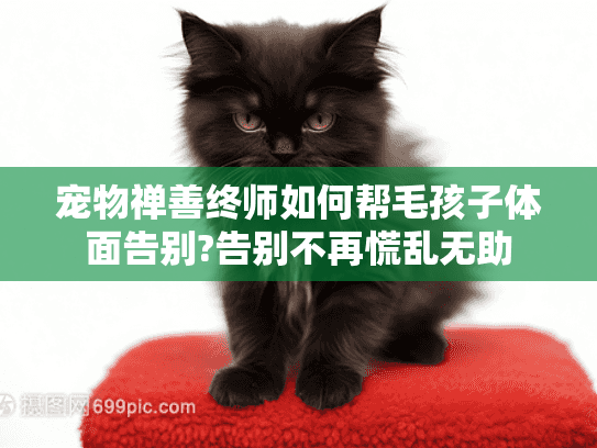 宠物禅善终师如何帮毛孩子体面告别?告别不再慌乱无助