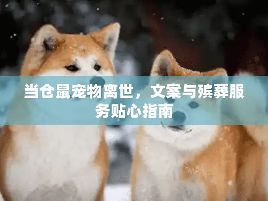 当仓鼠宠物离世,文案与殡葬服务贴心指南 当仓鼠宠物离世,文案与殡葬服务贴心指南