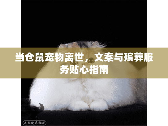 当仓鼠宠物离世,文案与殡葬服务贴心指南 当仓鼠宠物离世,文案与殡葬服务贴心指南