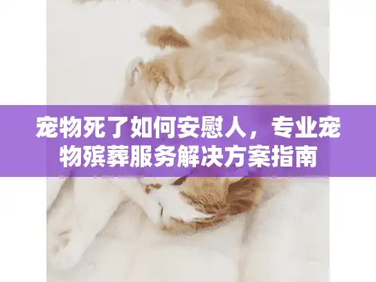 宠物死了如何安慰人，专业宠物殡葬服务解决方案指南