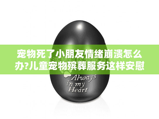 宠物死了小朋友情绪崩溃怎么办?儿童宠物殡葬服务这样安慰孩子