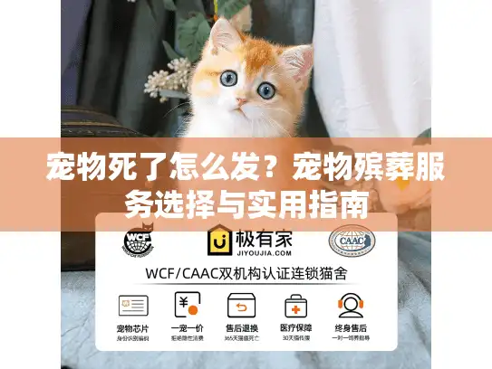 宠物死了怎么发？宠物殡葬服务选择与实用指南