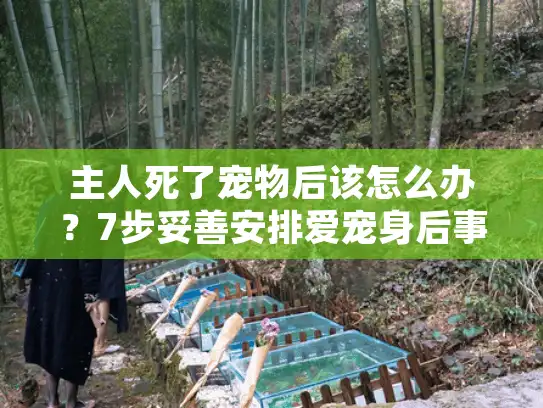 主人死了宠物后该怎么办？7步妥善安排爱宠身后事