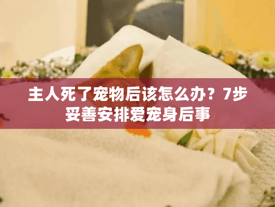 主人死了宠物后该怎么办？7步妥善安排爱宠身后事