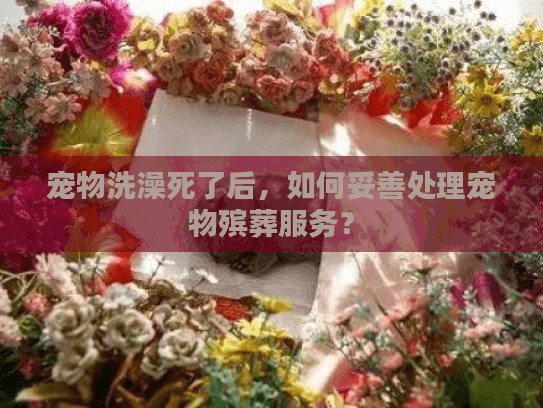 宠物洗澡死了后，如何妥善处理宠物殡葬服务？