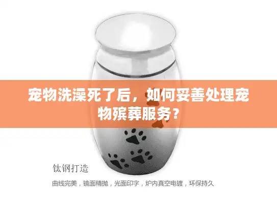 宠物洗澡死了后，如何妥善处理宠物殡葬服务？
