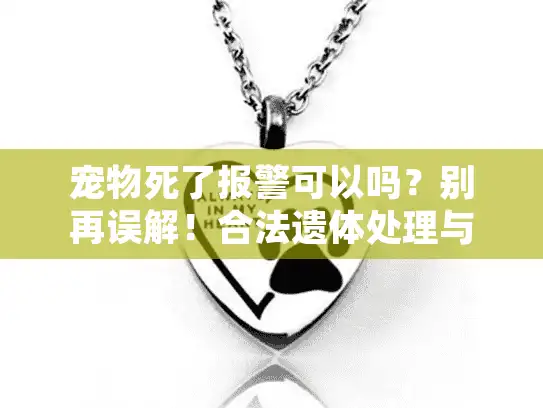 宠物死了报警可以吗？别再误解！合法遗体处理与专业殡葬服务指南