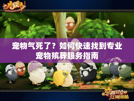 宠物气死了？如何快速找到专业宠物殡葬服务指南