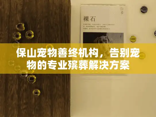 保山宠物善终机构,告别宠物的专业殡葬解决方案 保山宠物善终机构,告别宠物的专业殡葬解决方案