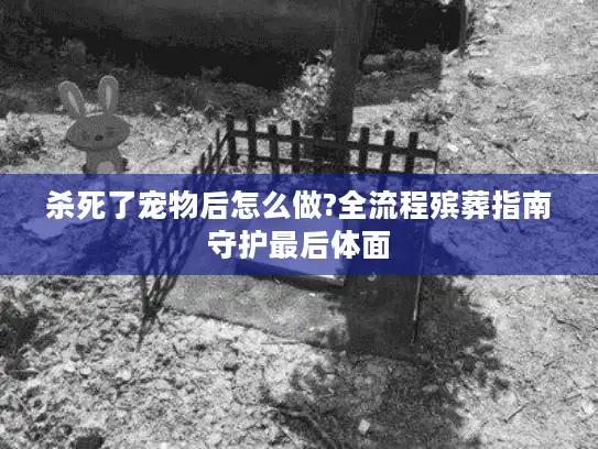 杀死了宠物后怎么做?全流程殡葬指南守护最后体面 杀死了宠物后怎么做?全流程殡葬指南守护最后体面