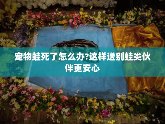 宠物蛙死了怎么办?这样送别蛙类伙伴更安心 宠物蛙死了怎么办?这样送别蛙类伙伴更安心