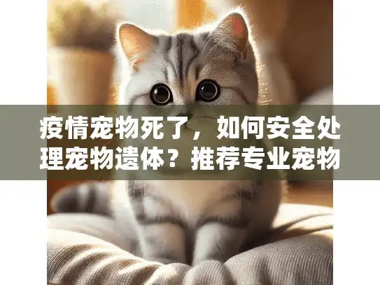 疫情宠物死了，如何安全处理宠物遗体？推荐专业宠物殡葬服务