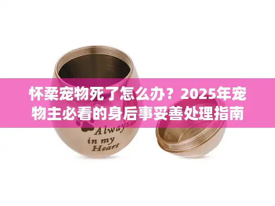 怀柔宠物死了怎么办？2025年宠物主必看的身后事妥善处理指南