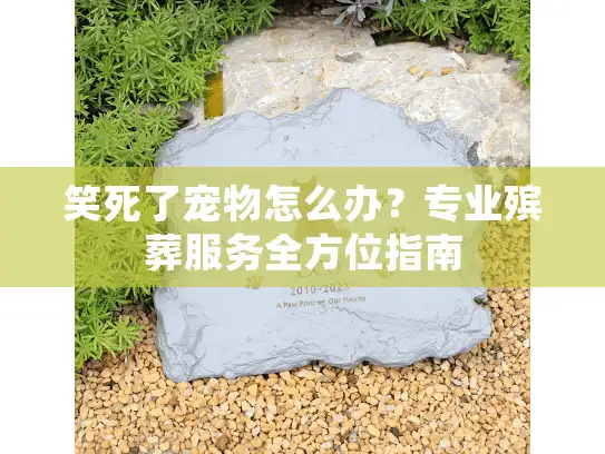 笑死了宠物怎么办?专业殡葬服务全方位指南 笑死了宠物怎么办?专业殡葬服务全方位指南