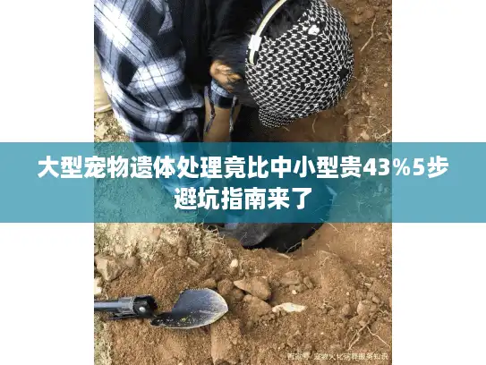 大型宠物遗体处理竟比中小型贵43%5步避坑指南来了 大型宠物遗体处理竟比中小型贵43%5步避坑指南来了