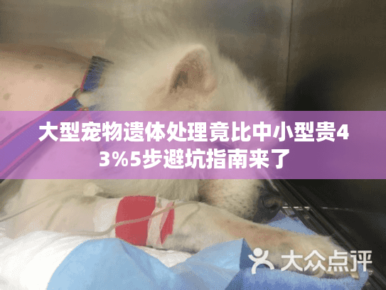 大型宠物遗体处理竟比中小型贵43%5步避坑指南来了 大型宠物遗体处理竟比中小型贵43%5步避坑指南来了