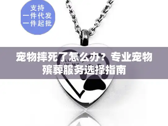 宠物摔死了怎么办？专业宠物殡葬服务选择指南