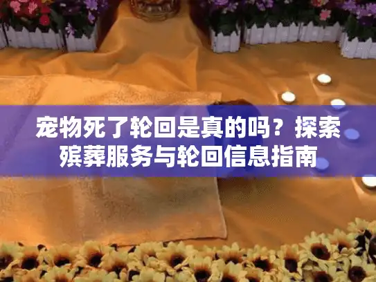 宠物死了轮回是真的吗?探索殡葬服务与轮回信息指南 宠物死了轮回是真的吗?探索殡葬服务与轮回信息指南