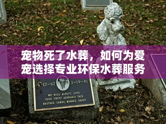 宠物死了水葬，如何为爱宠选择专业环保水葬服务？