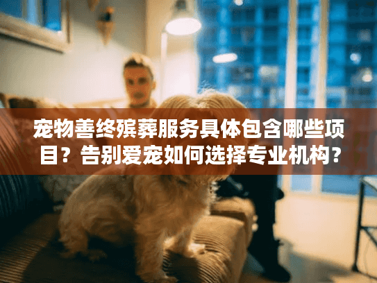宠物善终殡葬服务具体包含哪些项目？告别爱宠如何选择专业机构？