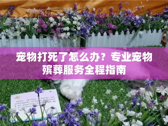 宠物打死了怎么办?专业宠物殡葬服务全程指南 宠物打死了怎么办?专业宠物殡葬服务全程指南