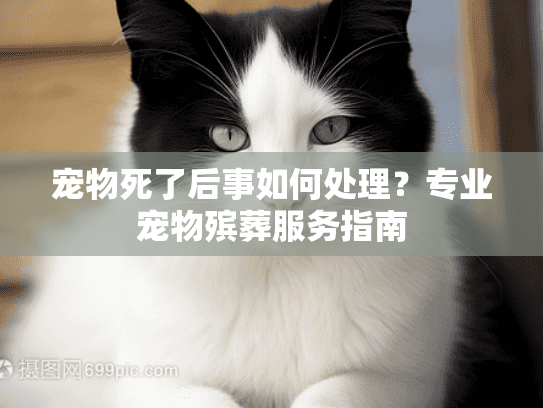 宠物死了后事如何处理?专业宠物殡葬服务指南 宠物死了后事如何处理?专业宠物殡葬服务指南