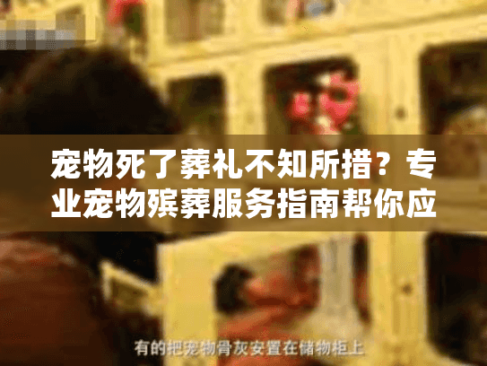 宠物死了葬礼不知所措?专业宠物殡葬服务指南帮你应对 宠物死了葬礼不知所措?专业宠物殡葬服务指南帮你应对