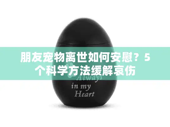 朋友宠物离世如何安慰?5个科学方法缓解哀伤 朋友宠物离世如何安慰?5个科学方法缓解哀伤