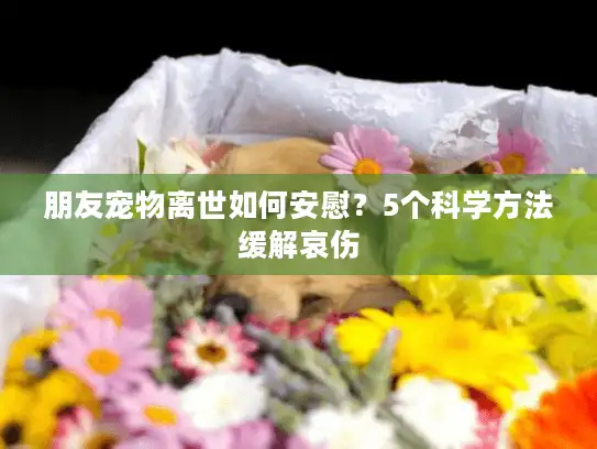 朋友宠物离世如何安慰?5个科学方法缓解哀伤 朋友宠物离世如何安慰?5个科学方法缓解哀伤