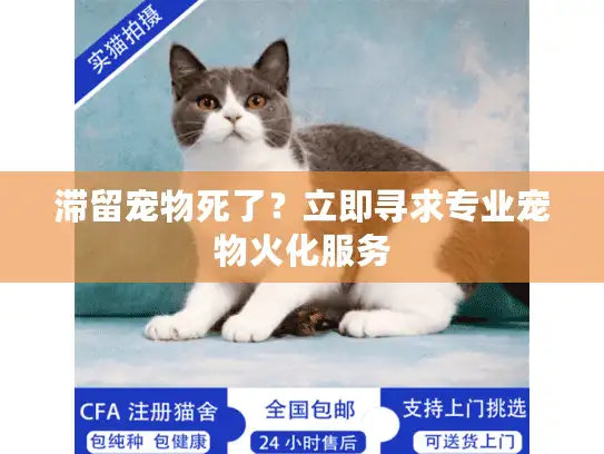 滞留宠物死了？立即寻求专业宠物火化服务