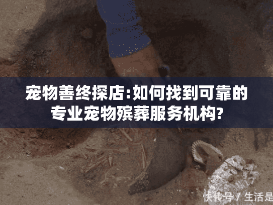 宠物善终探店:如何找到可靠的专业宠物殡葬服务机构?