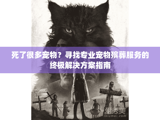 死了很多宠物？寻找专业宠物殡葬服务的终极解决方案指南