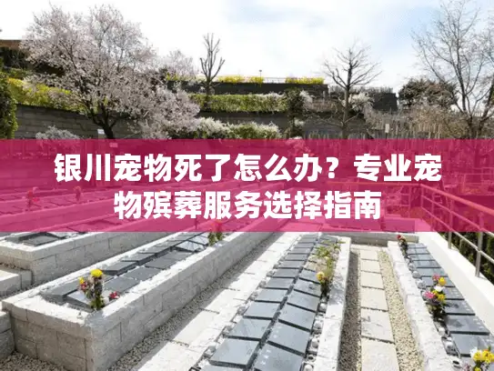 银川宠物死了怎么办？专业宠物殡葬服务选择指南