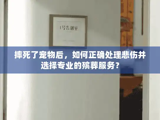 摔死了宠物后,如何正确处理悲伤并选择专业的殡葬服务? 摔死了宠物后,如何正确处理悲伤并选择专业的殡葬服务?